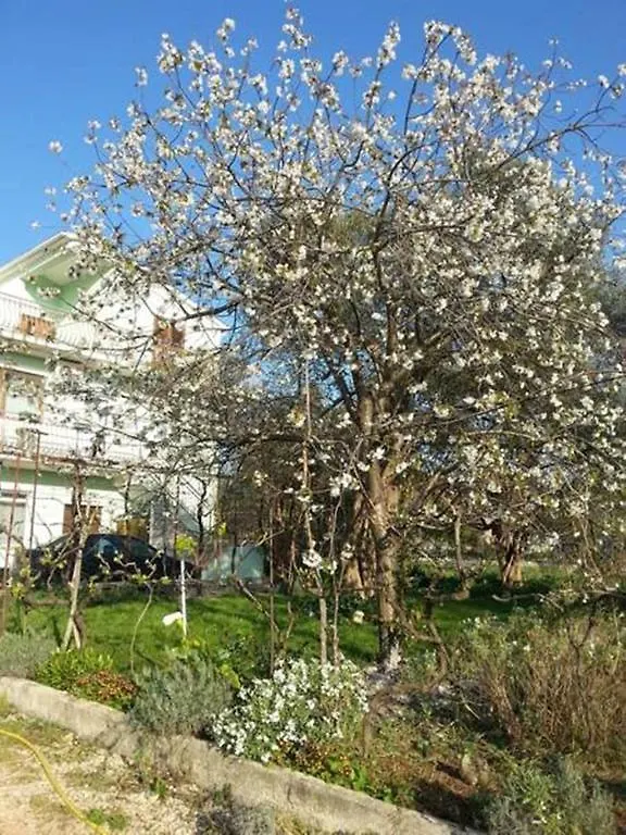 Apartmani Tereza Bibinje Apartment